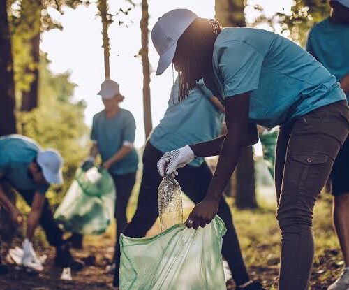 5 Best Environmental News Services in Hanover - Track climate conservation and sustainability stories
