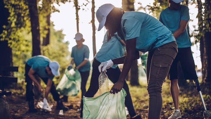 5 Best Environmental News Services in Hanover - Track climate conservation and sustainability stories